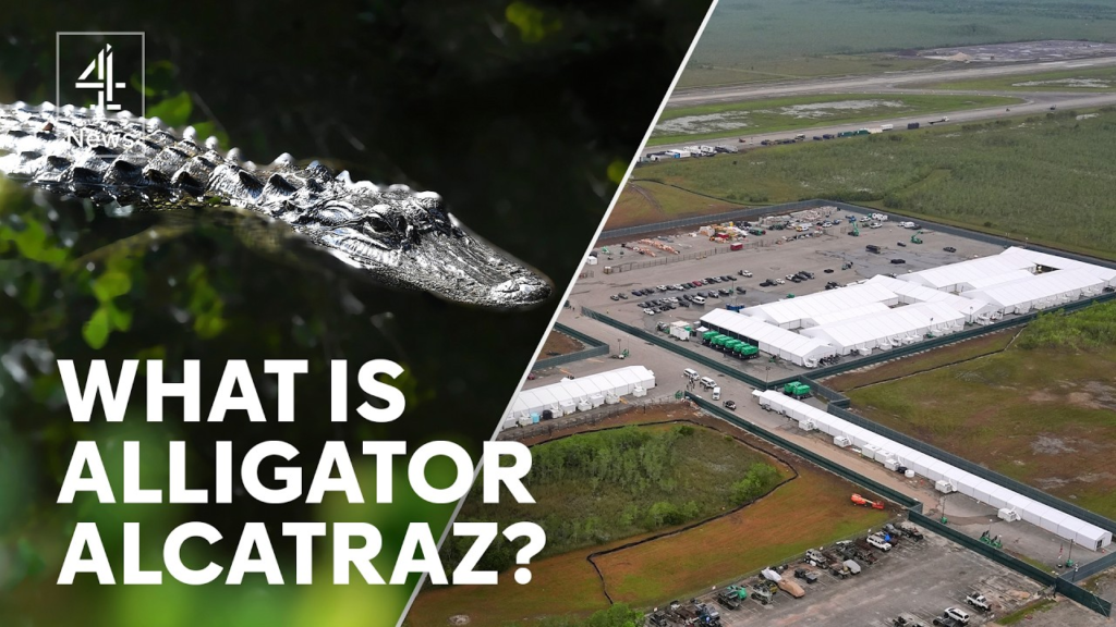 Discovering the Fascinating World of Alligator Alcatraz alligator alcatraz