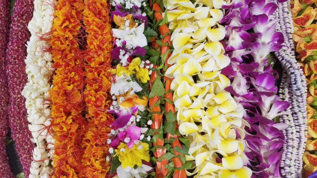 Lei Lei