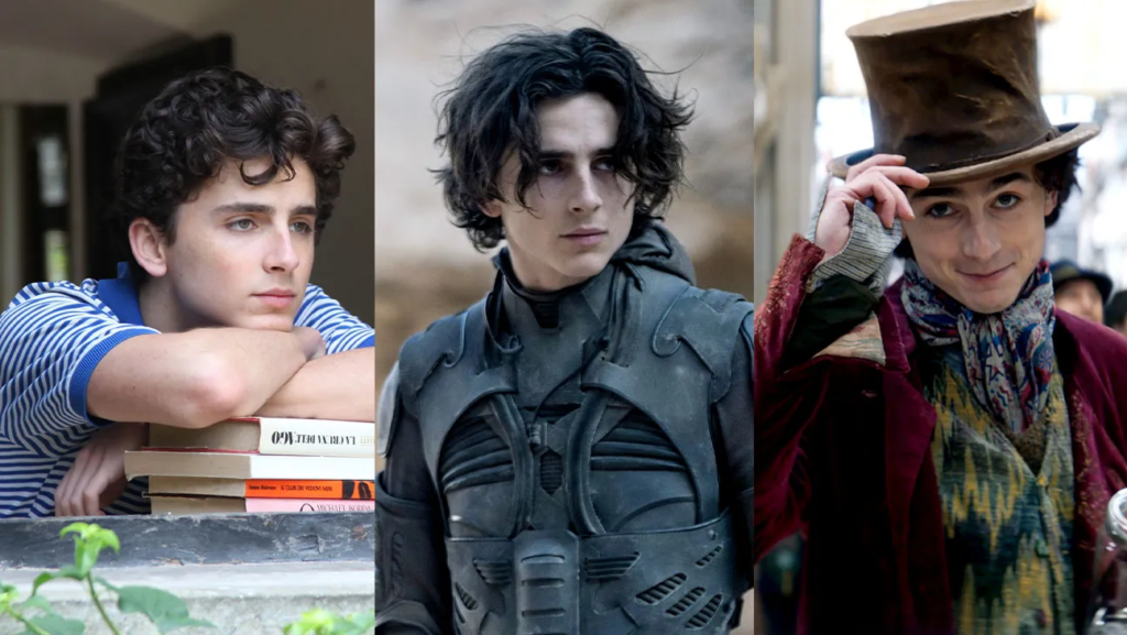 timothee chalamet movies